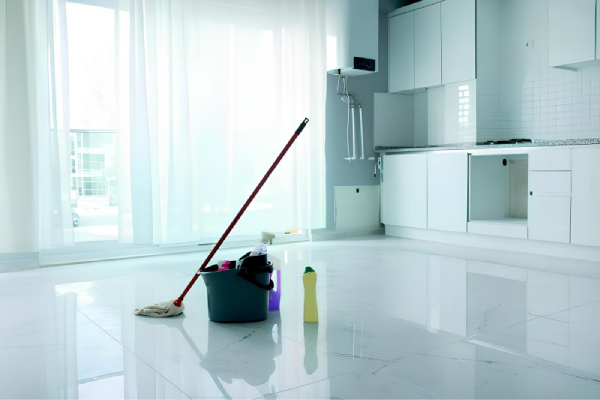 Efficient Home Cleaning