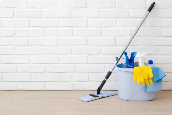 Why professional home cleaning