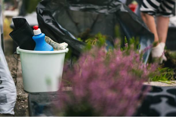 Promoting Sustainability Through Innovation