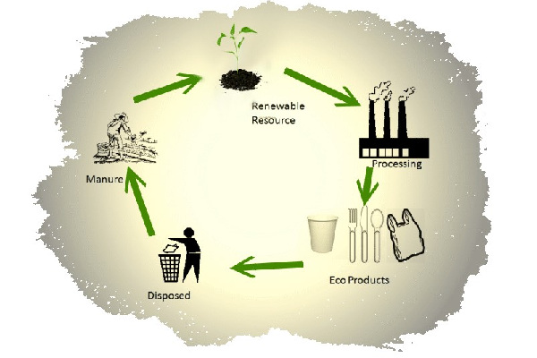 Promoting Sustainable Practices with Suppliers